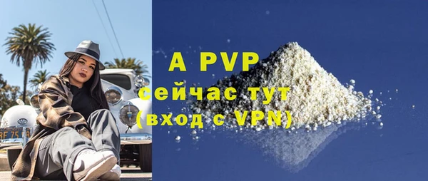 индика Ладушкин
