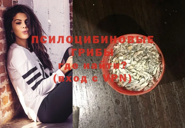 гидра Магас