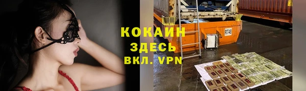 гидра Магас