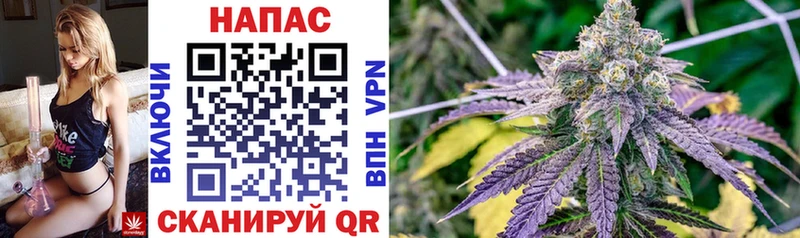 Купить закладки  Бавлы  Бошки Шишки Ganja 